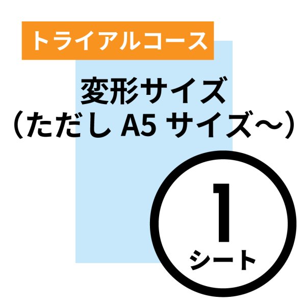 画像1: トライアルコース 変形サイズ（ただしA５サイズ〜）1シート (1)