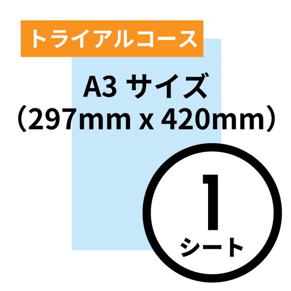 画像1: トライアルコース A3サイズ（297mm x 420mm）1シート (1)