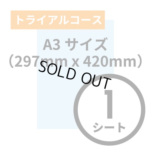 画像1: トライアルコース A3サイズ（297mm x 420mm）1シート (1)