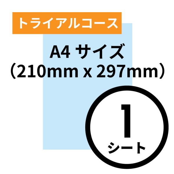 画像1: トライアルコース A4サイズ（210mm x 297mm）1シート (1)